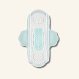 6 - BST-Protection